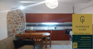 Ενοικιάζεται Διαμέρισμα στο Συνοικισμό Μυτιλήνης Λέσβου (3682)