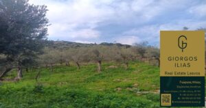 Πωλείται Ελαιόκτημα στη Θερμή Λέσβου (3778)