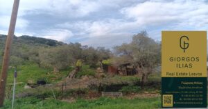 Πωλείται Ελαιόκτημα στη Θερμή Λέσβου (3778)