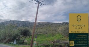 Πωλείται Ελαιόκτημα στη Θερμή Λέσβου (3778)