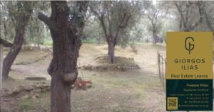 Πωλείται Μονοκατοικία Οικόπεδο Πέραμα Λέσβου (3722)