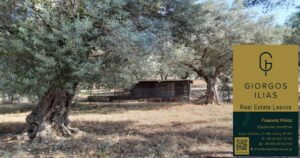 Πωλείται Μονοκατοικία Οικόπεδο Πέραμα Λέσβου (3722)