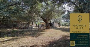 Πωλείται Μονοκατοικία Οικόπεδο Πέραμα Λέσβου (3722)