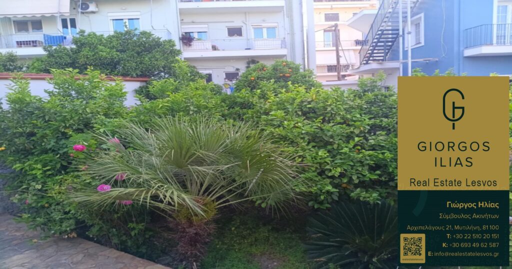 Πωλείται Μονοκατοικία 355τ.μ. στη Χρυσομαλλούσα Μυτιλήνης (3842)