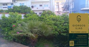 Πωλείται Μονοκατοικία 355τ.μ. στη Χρυσομαλλούσα Μυτιλήνης (3842)