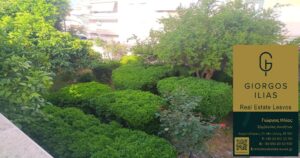 Πωλείται Μονοκατοικία 355τ.μ. στη Χρυσομαλλούσα Μυτιλήνης (3842)