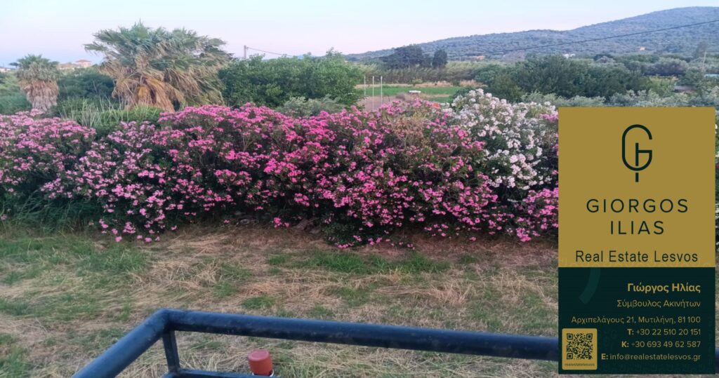 Πωλείται Μονοκατοικία 220τ.μ. Πύργοι Θερμής Μυτιλήνης (3966)