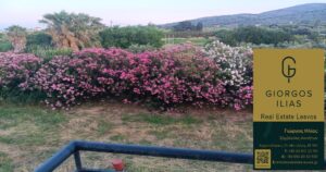 Πωλείται Μονοκατοικία 220τ.μ. Πύργοι Θερμής Μυτιλήνης (3966)