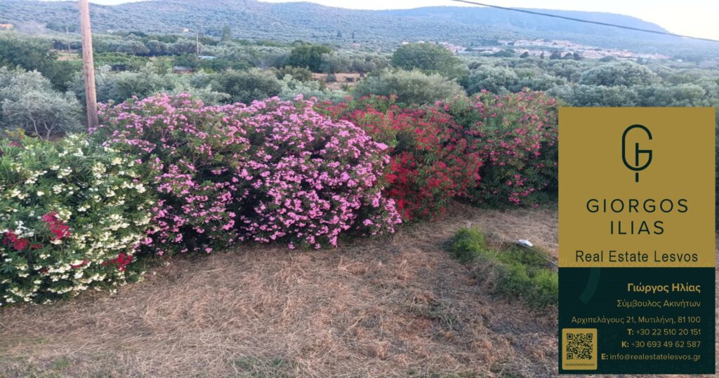 Πωλείται Μονοκατοικία 220τ.μ. Πύργοι Θερμής Μυτιλήνης (3966)