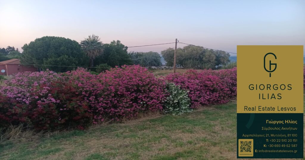 Πωλείται Μονοκατοικία 220τ.μ. Πύργοι Θερμής Μυτιλήνης (3966)