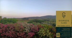 Πωλείται Μονοκατοικία 220τ.μ. Πύργοι Θερμής Μυτιλήνης (3966)