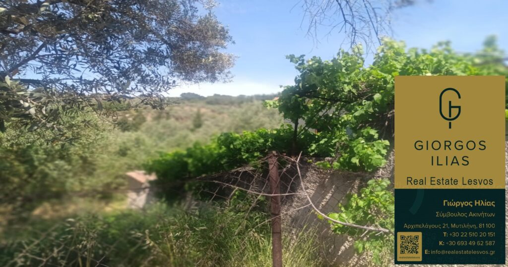 Πωλείται Μονοκατοικία 55τ.μ. στο Παλαιόκηπο Λέσβου (4160)