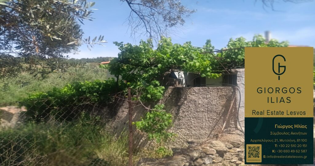 Πωλείται Μονοκατοικία 55τ.μ. στο Παλαιόκηπο Λέσβου (4160)