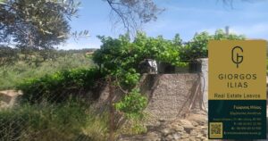 Πωλείται Μονοκατοικία 55τ.μ. στο Παλαιόκηπο Λέσβου (4160)