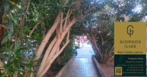 Ενοικιάζεται Διαμέρισμα 40τ.μ. στήν Αγία Φωτεινή Μυτιλήνης (4229)